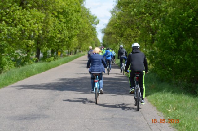 marsz g 2015 347 kopiowanie